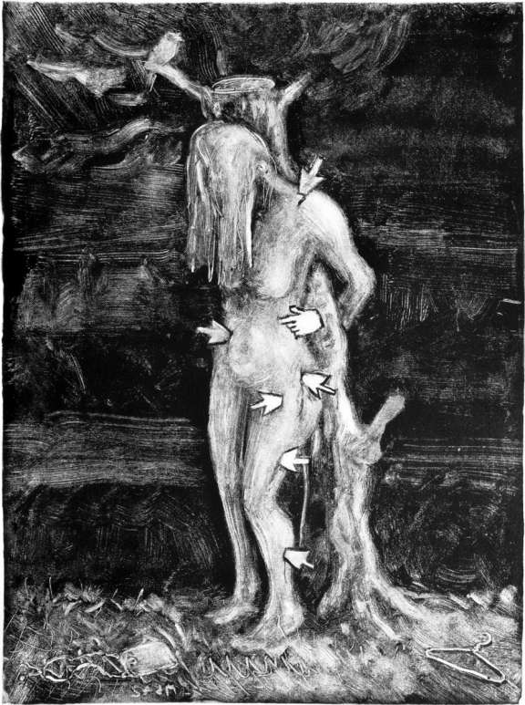 19 Sebastian Dscf2793 2