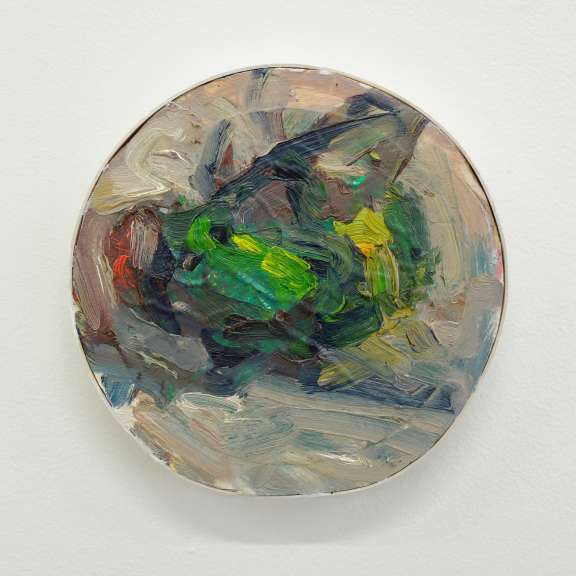 Goldfliege Stefan Aufder Maur Dscf8966