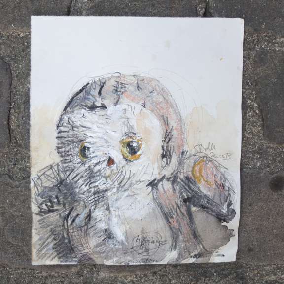 Skizze Stofftier Eule