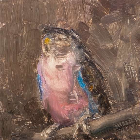 V2 24 Bourkesittich Dscf2871 Cut