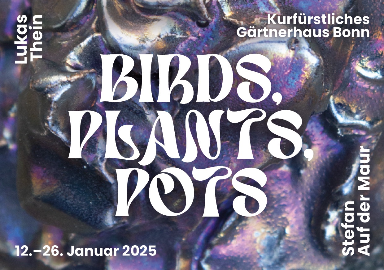 Birds Plants Pots Flyer P1